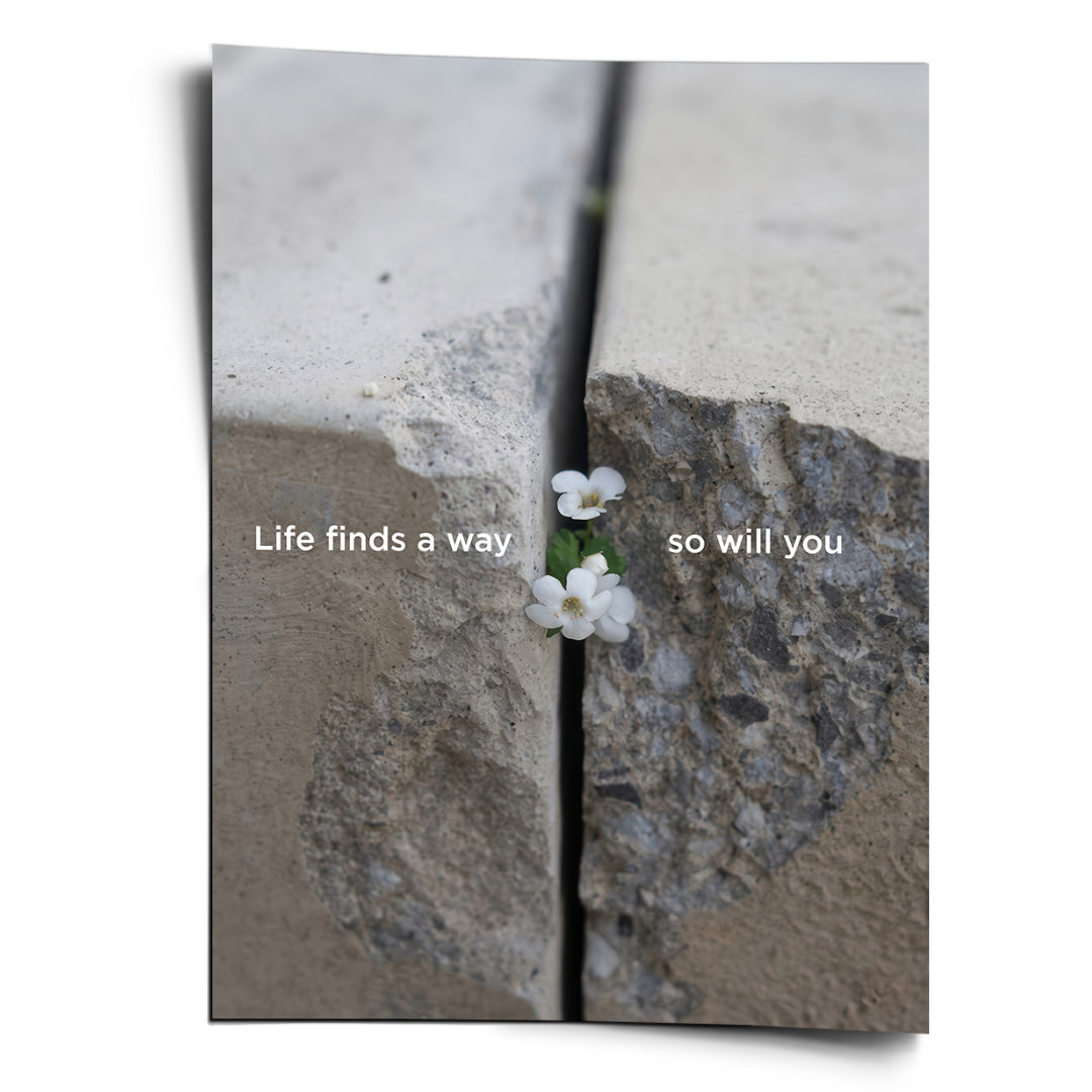 DOTCOMCANVAS Life finds a way Poster Vorderansicht
