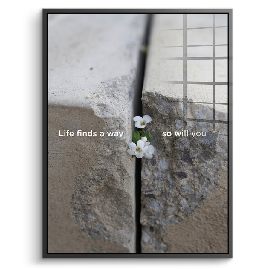 DOTCOMCANVAS Life finds a way Acrylglasbild Vorderansicht schwarzer Rahmen