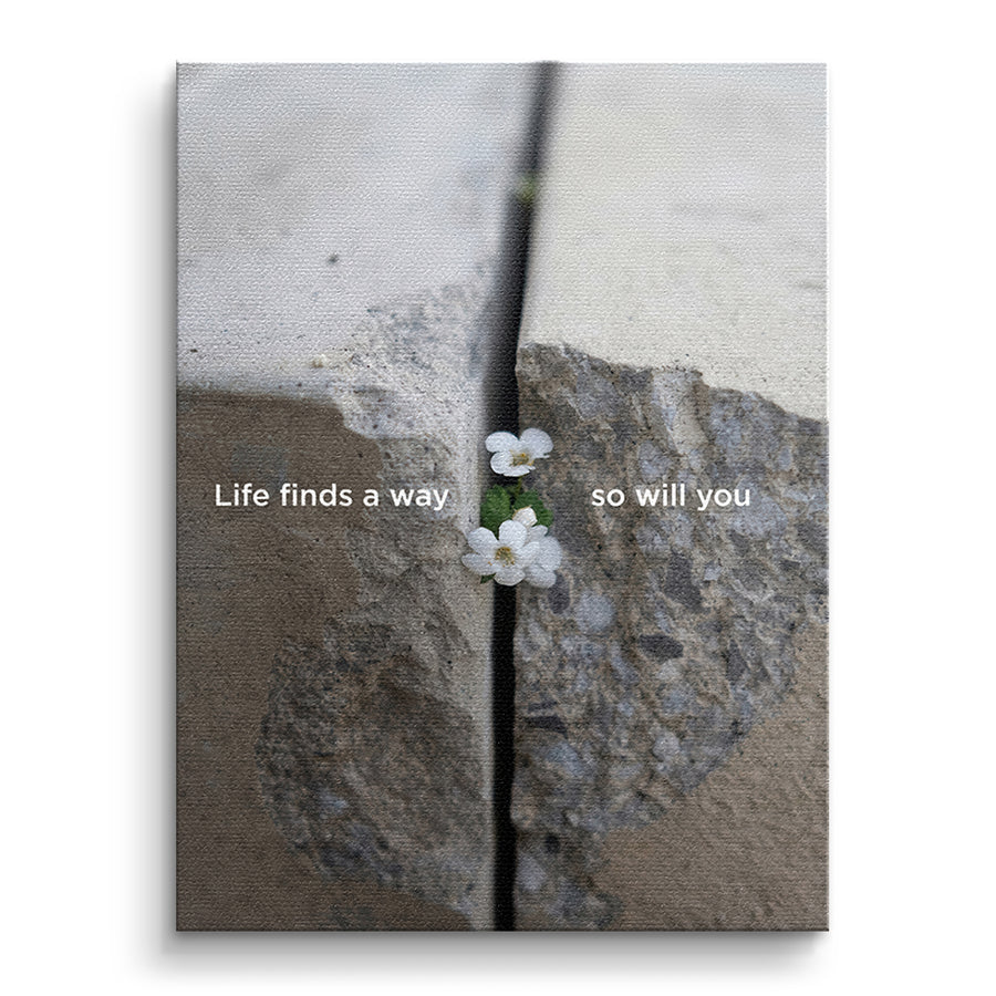 Life finds a way - Leinwandbild – Vorderseite