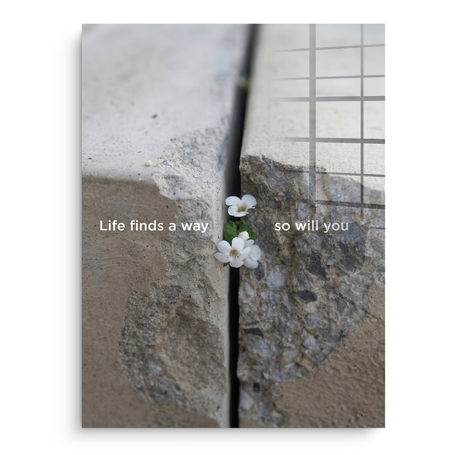 Life finds a way - Acrylglasbild – Vorderseite