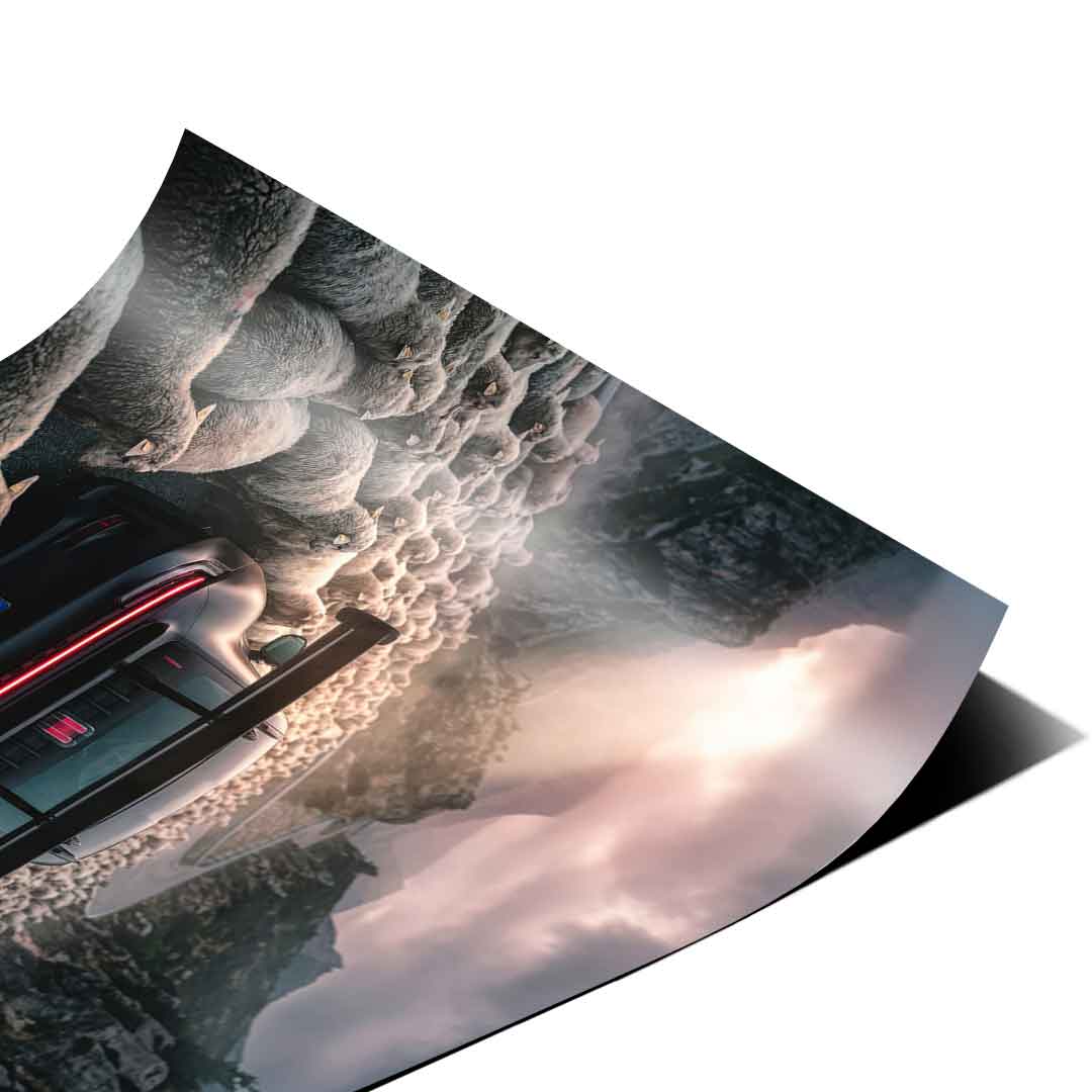 Porshe & Sheeps Poster Eckdetail Nahaufnahme