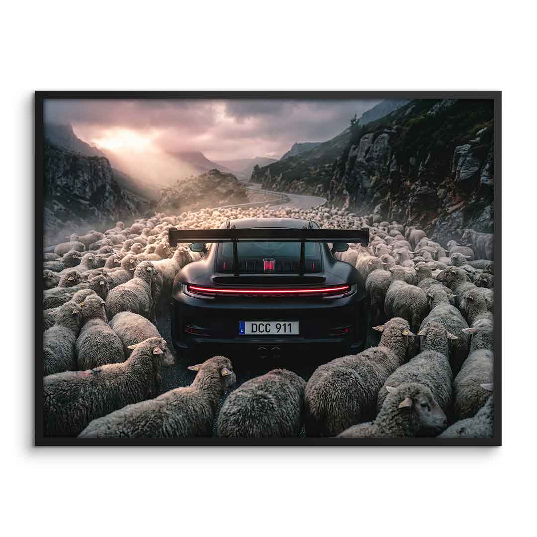 Porshe & Sheeps Poster gerahmt