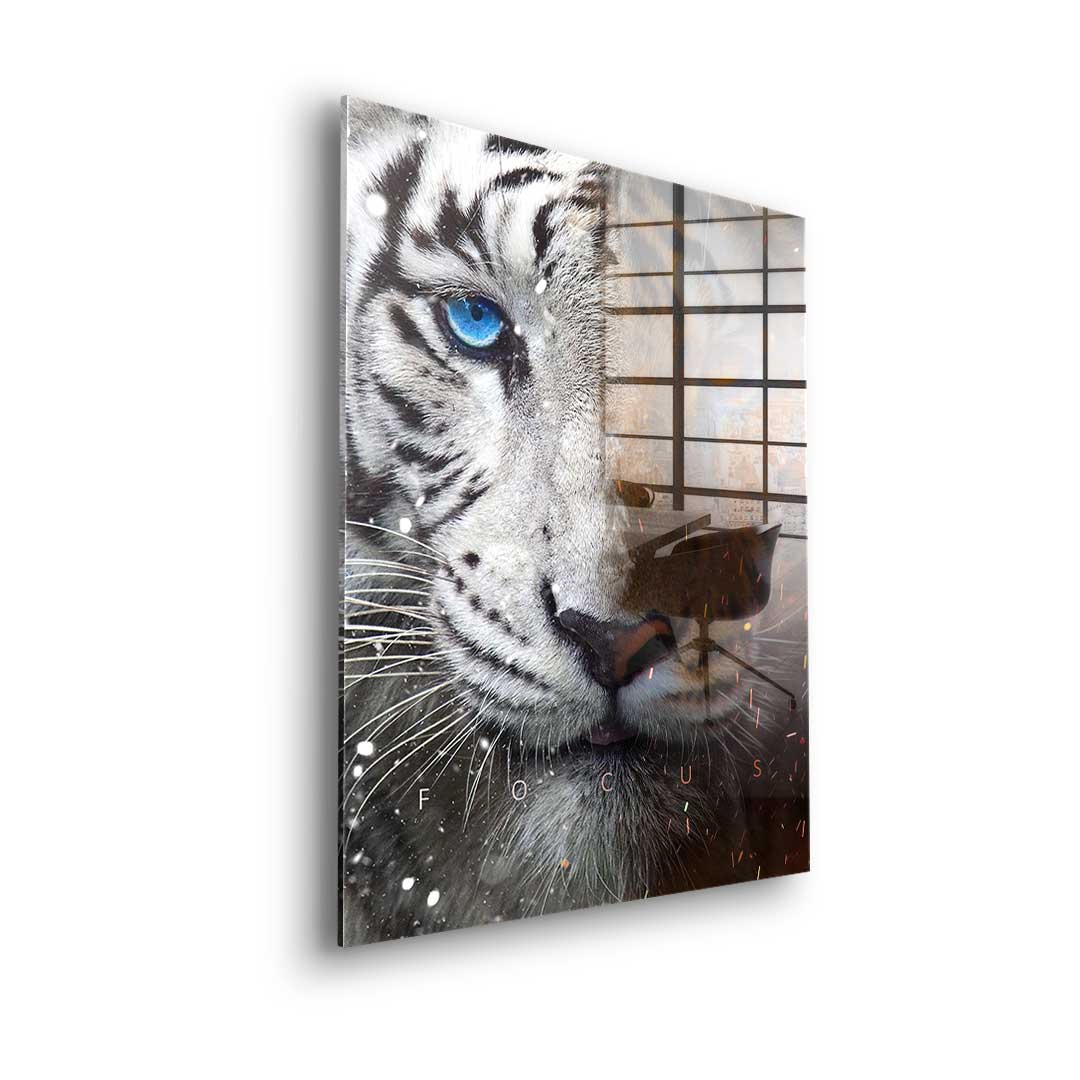 Focus Face - Acrylic glass