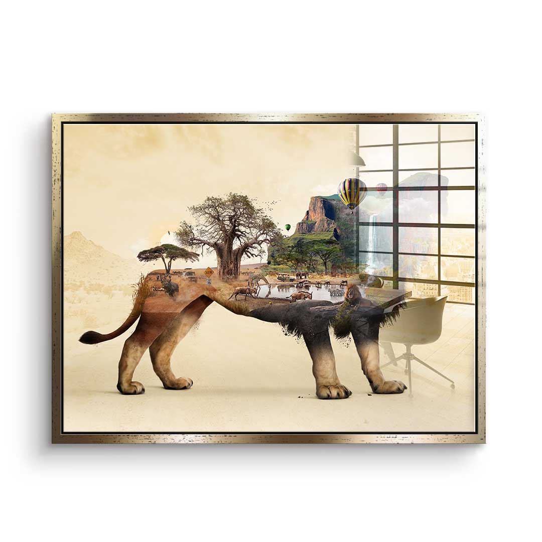 The Lion's Life - Acrylic Glass