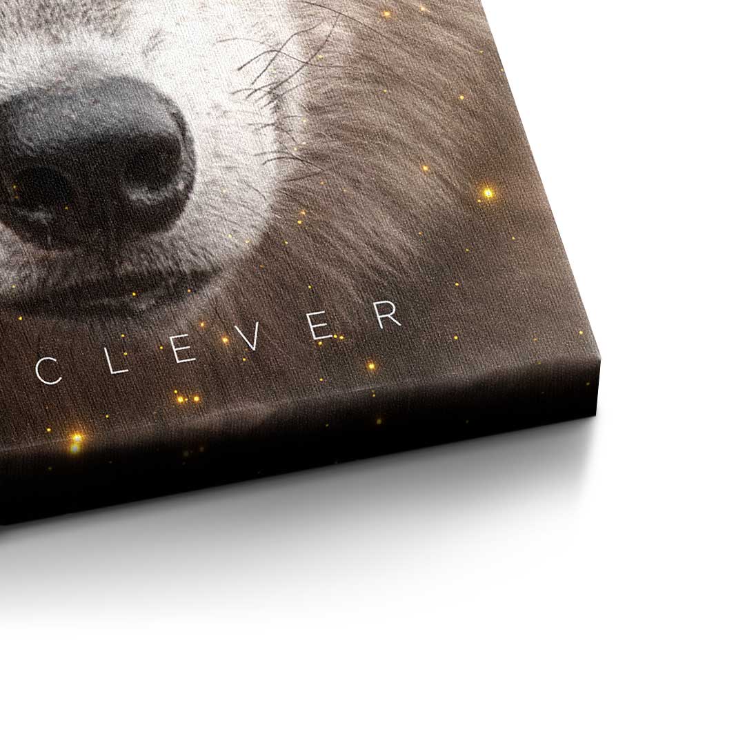 Clever Face