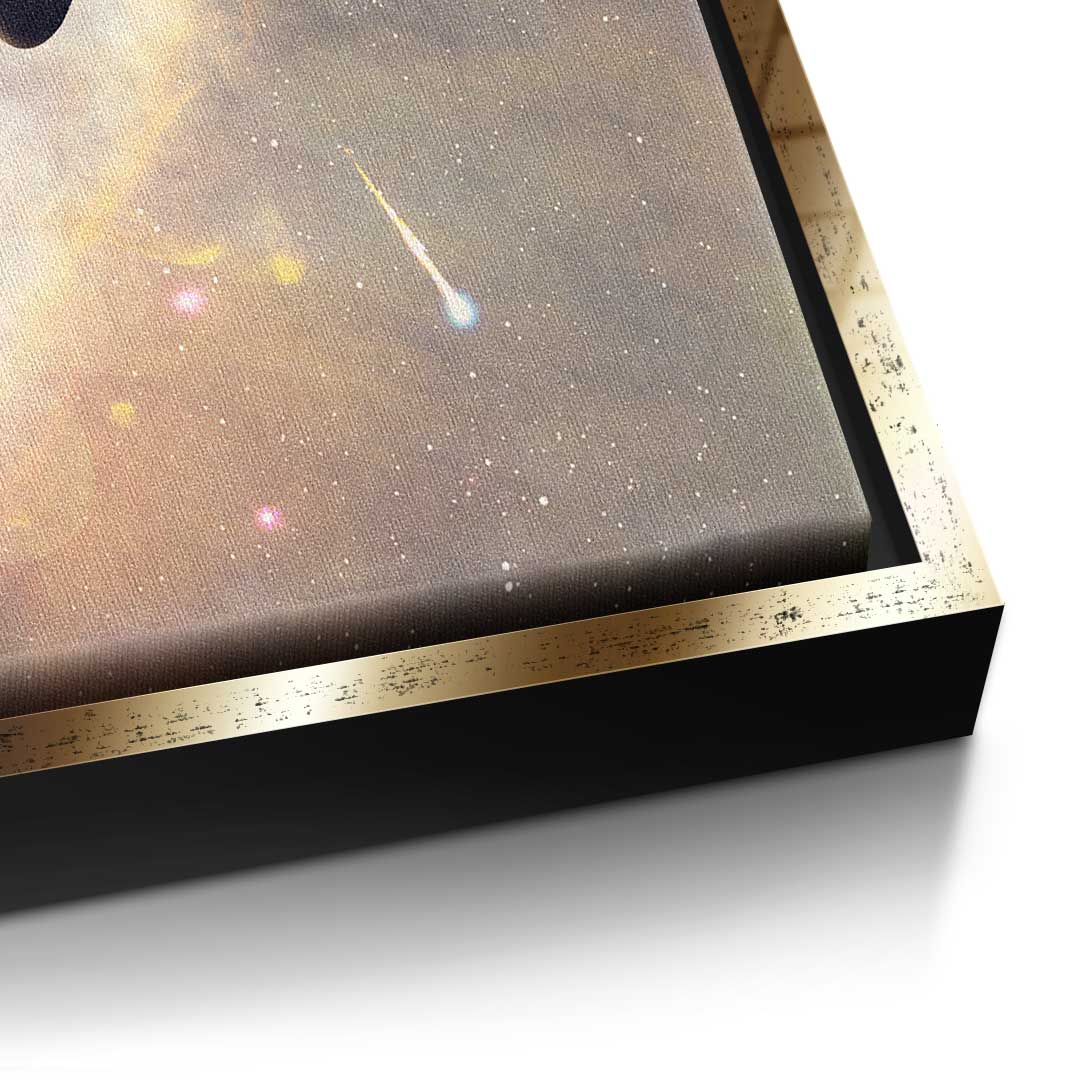 Michelangelo universe