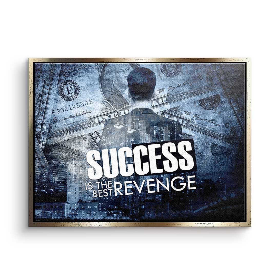 SUCCESS IS THE BEST REVENGE