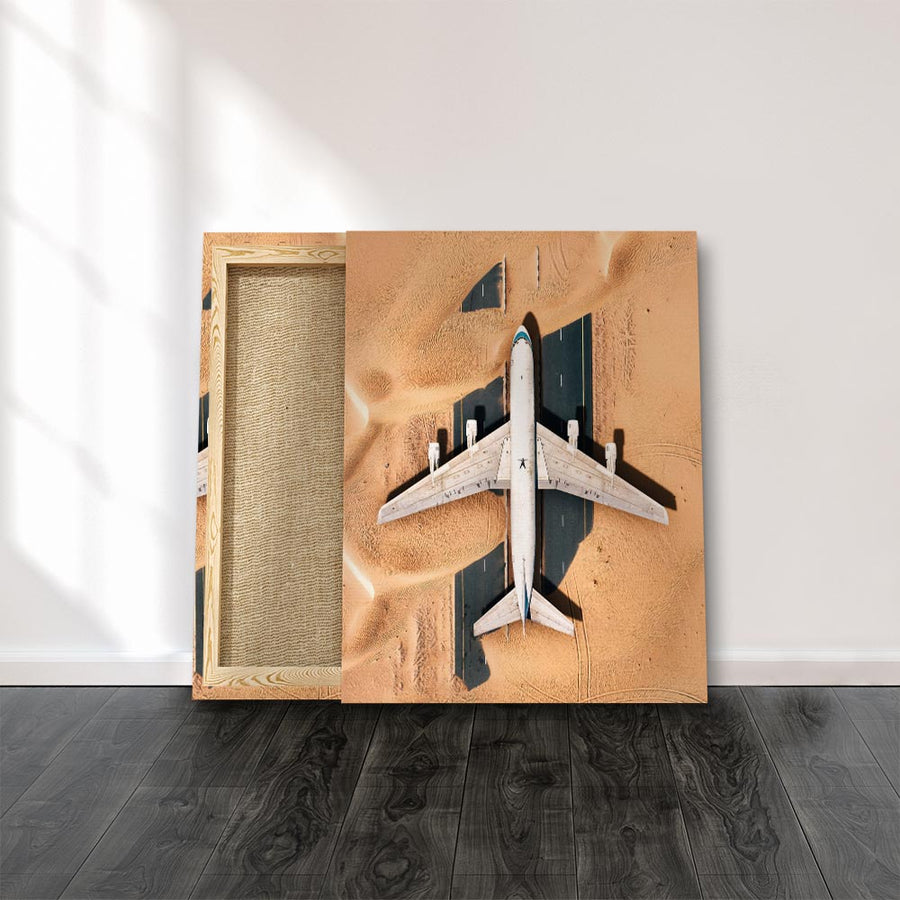Desert Plane