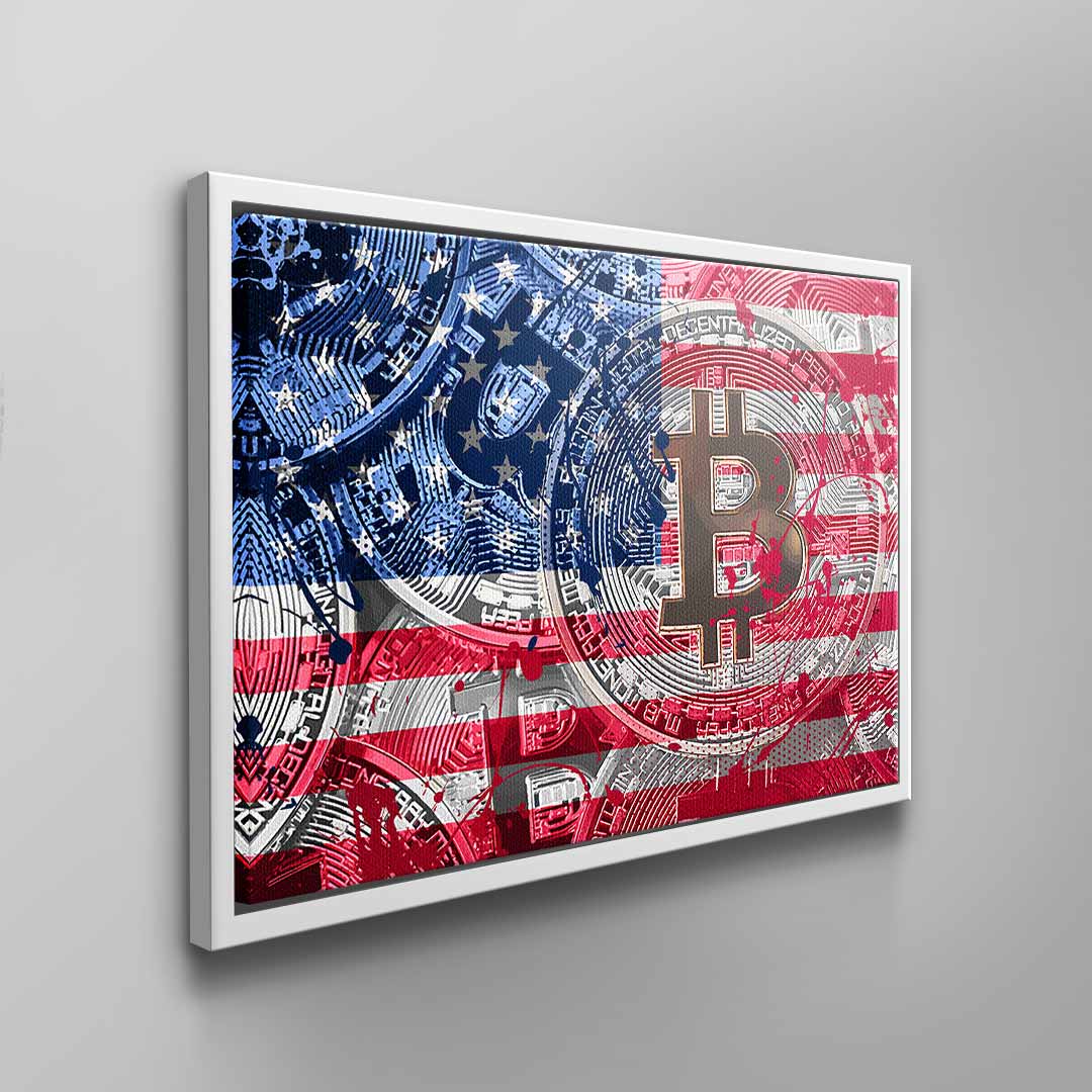 Crypto Flag USA