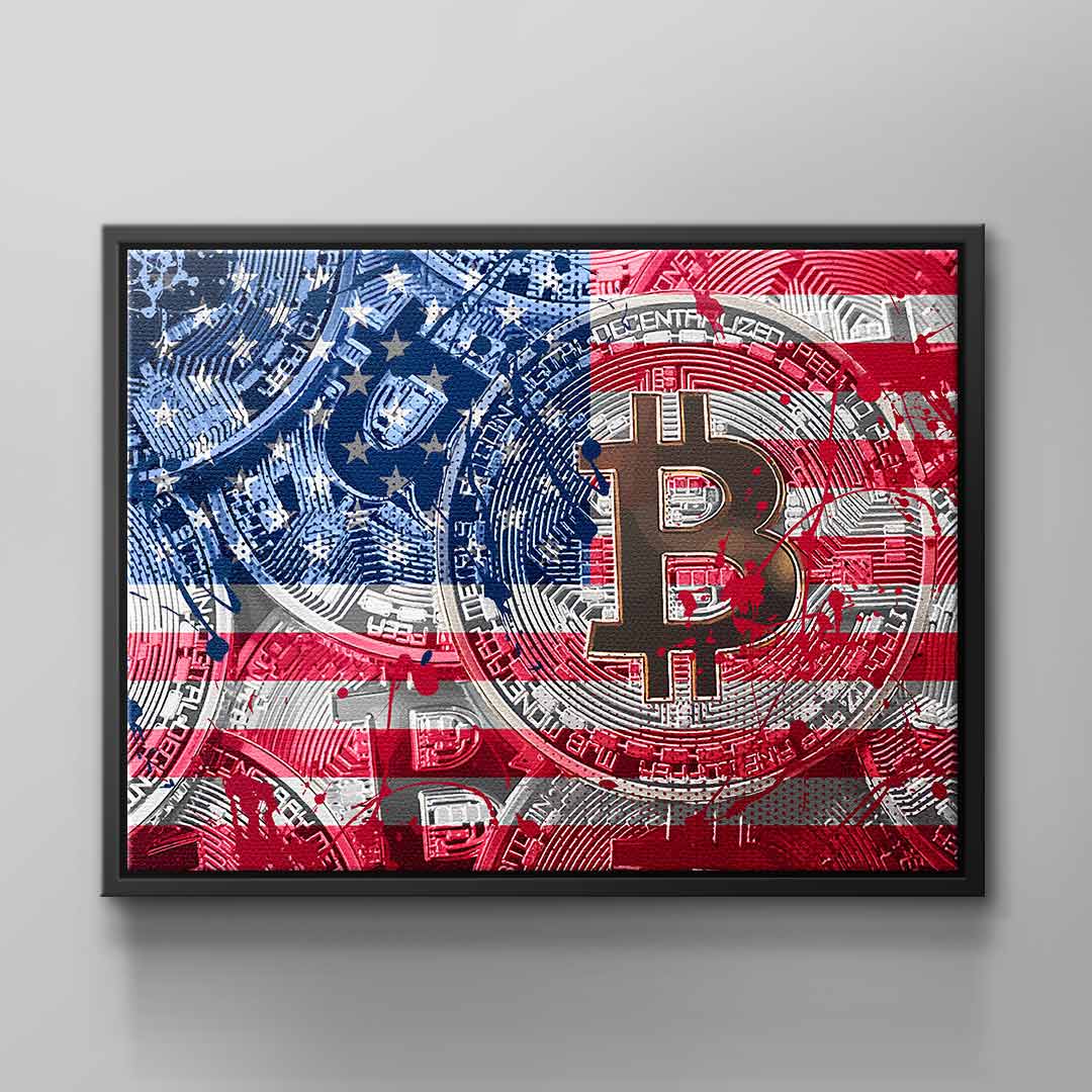 Crypto Flag USA