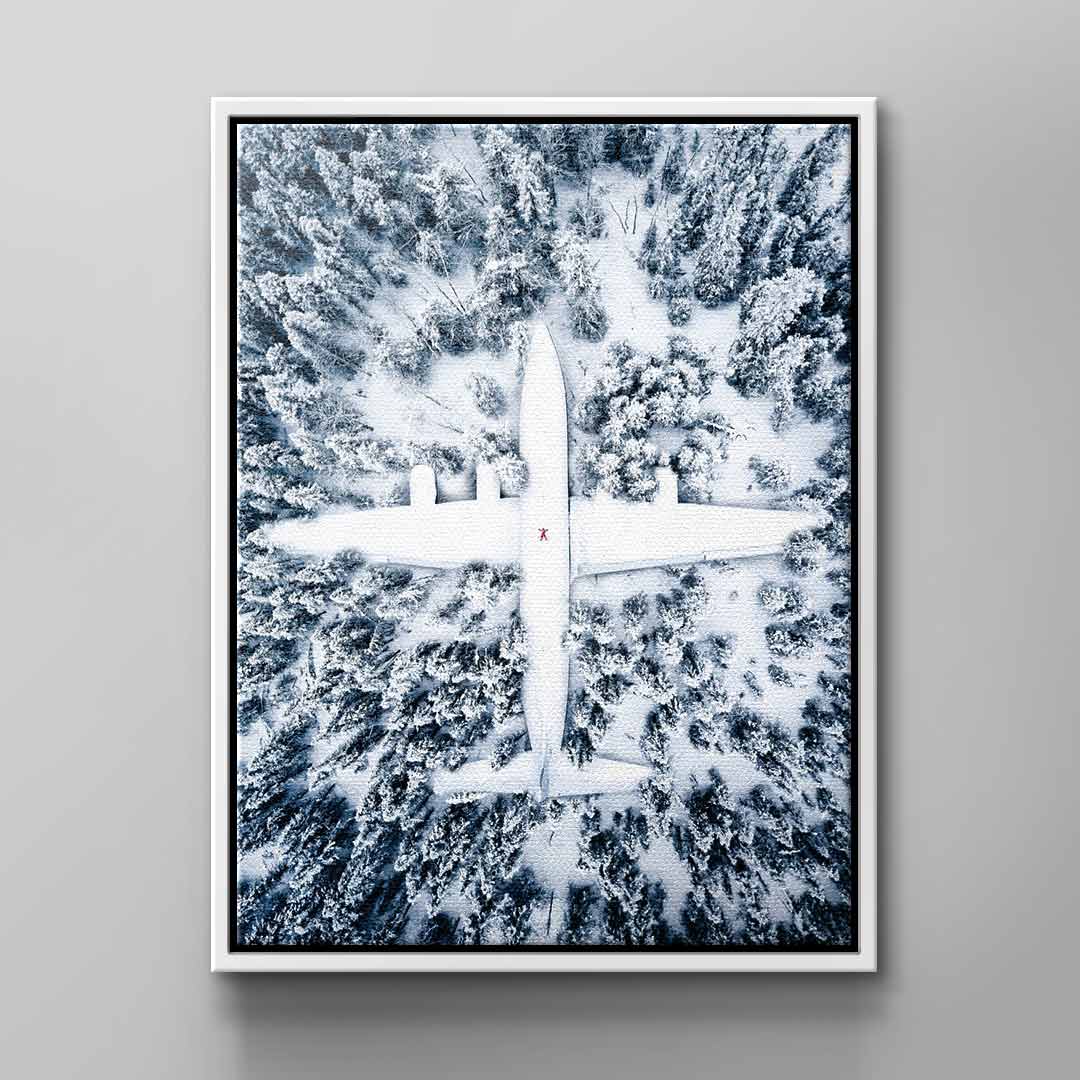 Winter Plane
